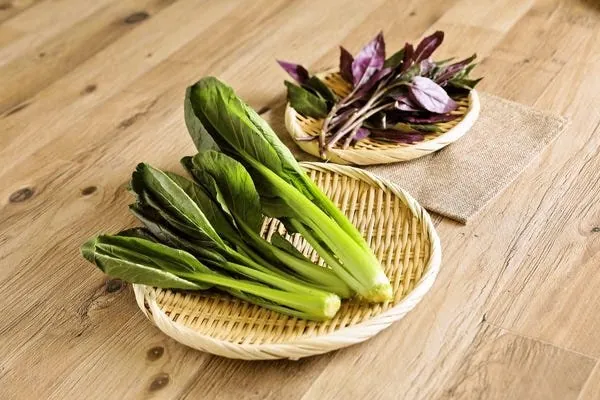 旬の野菜